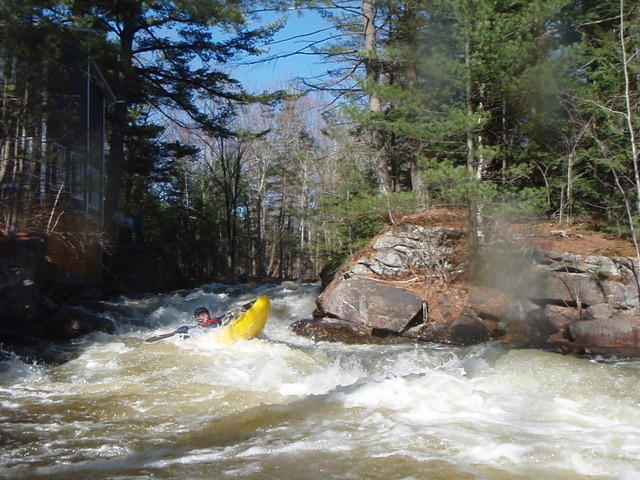 P4300462.JPG