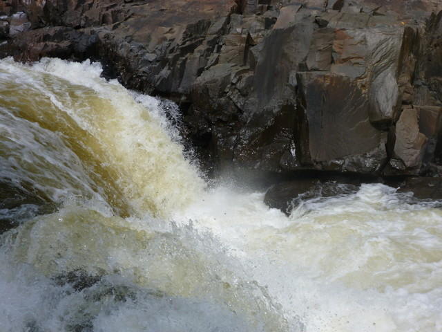 P1030695.JPG