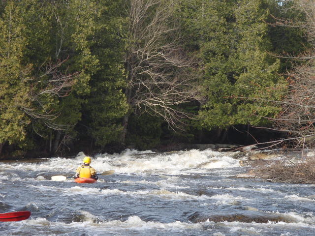 P5120571.JPG