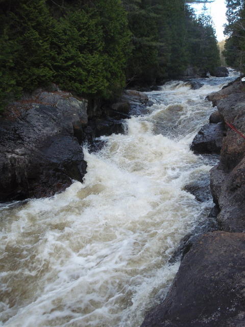 P5120575.JPG