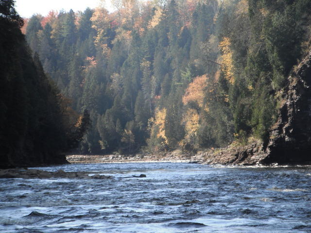 DSCF0949.JPG