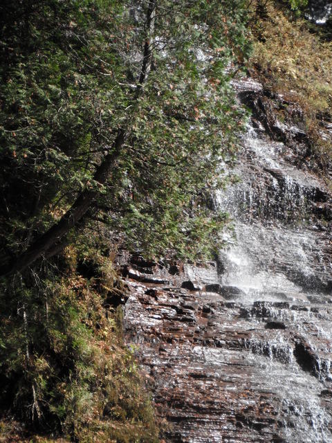 DSCF0957.JPG