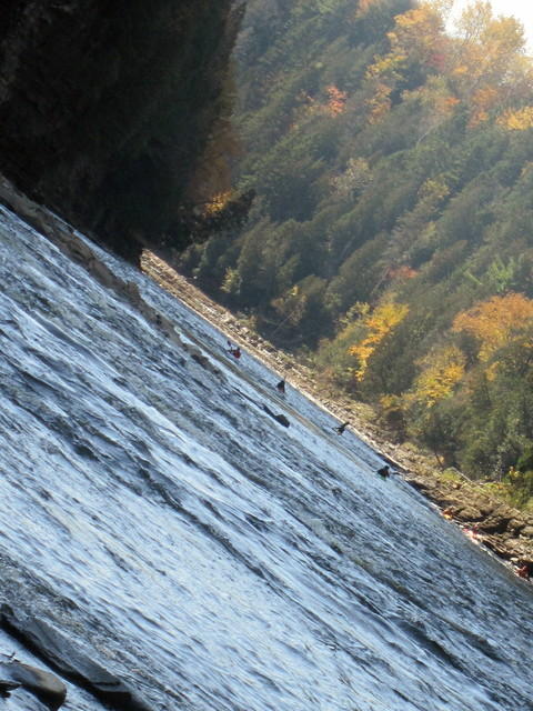 jaques cartier 9 oct 2011 027.JPG