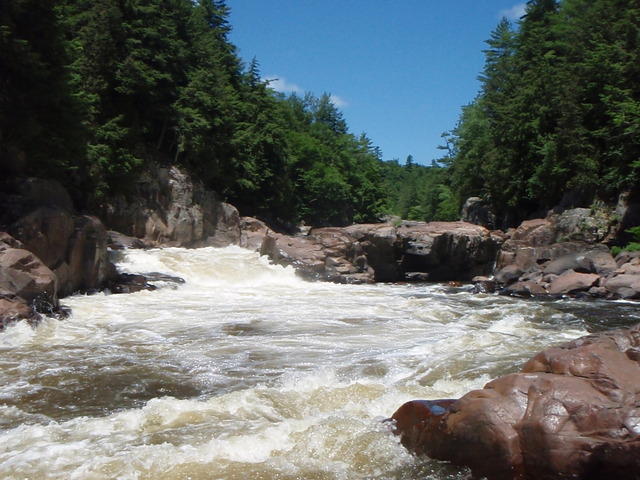 P7090035.JPG