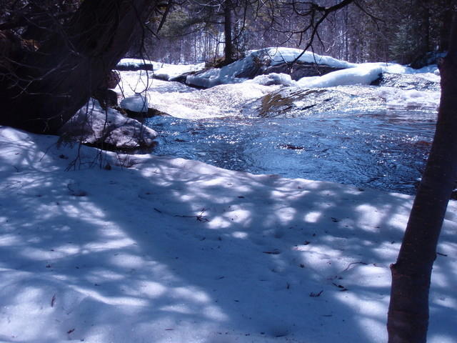 P4090297.JPG