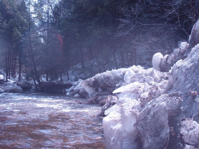 P4090305.JPG