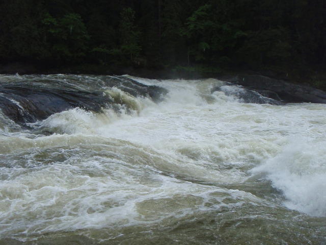 P6241331.JPG