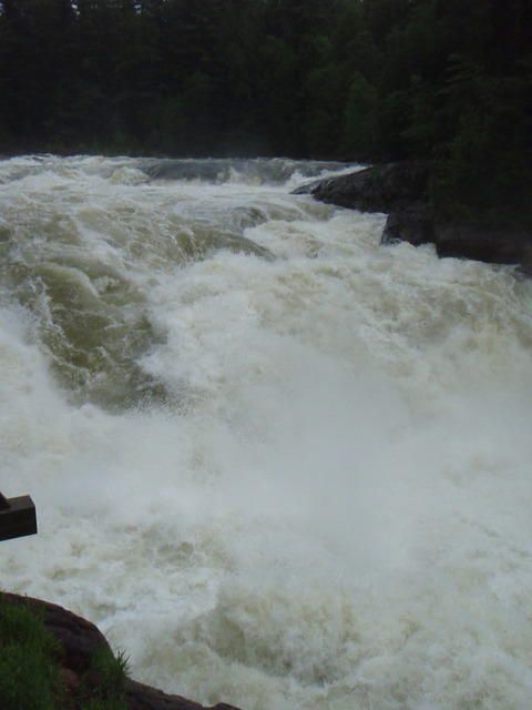 P6241332.JPG