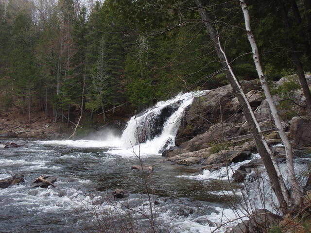P5150601.JPG