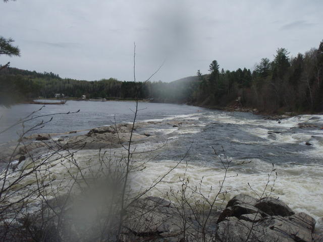 P5150614.JPG