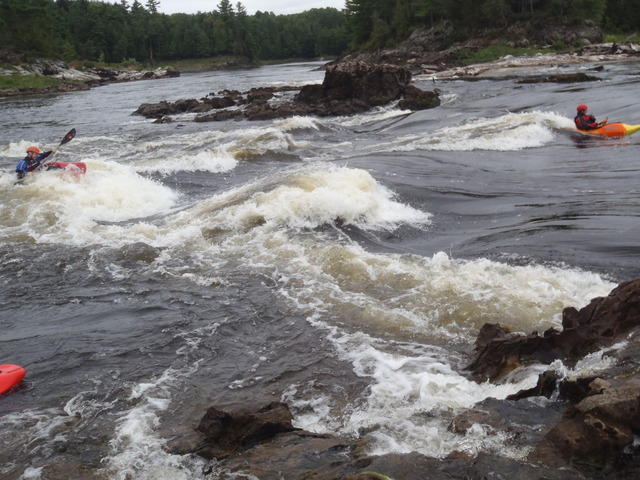 P9050125.JPG