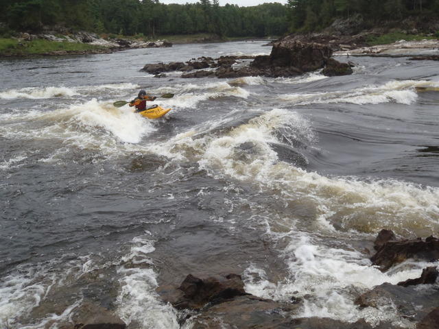 P9050131.JPG