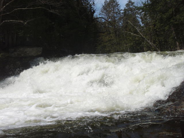 P5010558.JPG