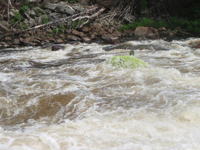 P7160320.JPG