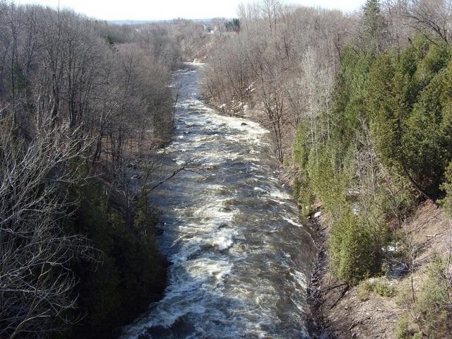 SN854036.JPG