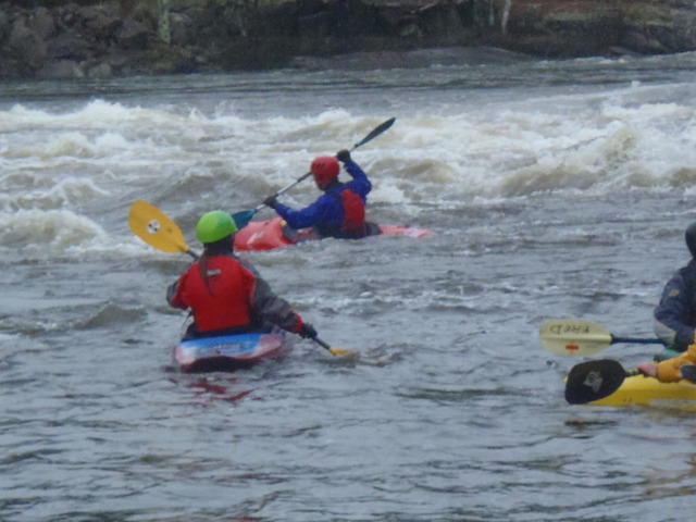 P5141656.JPG