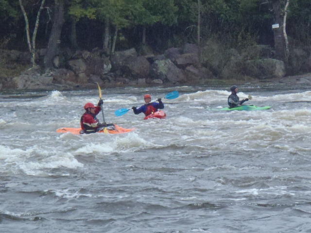 P5141664.JPG