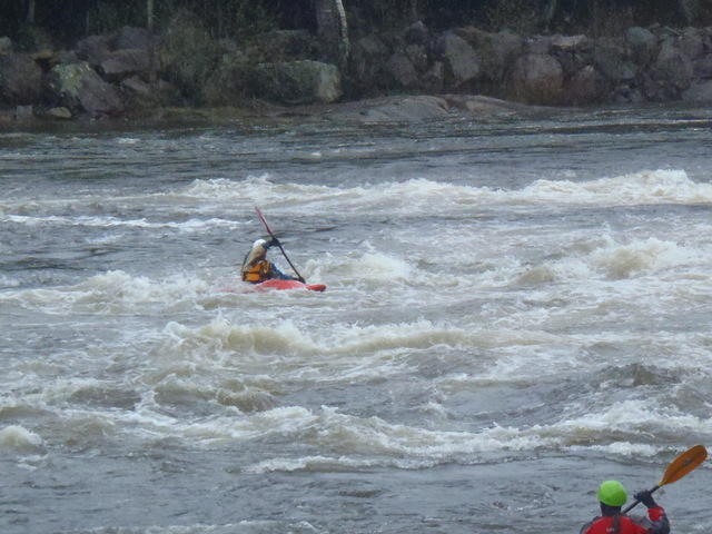 P5141666.JPG