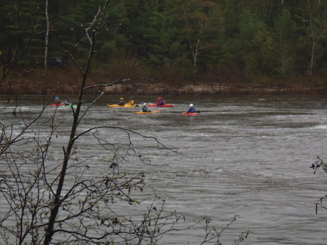 P5141672.JPG