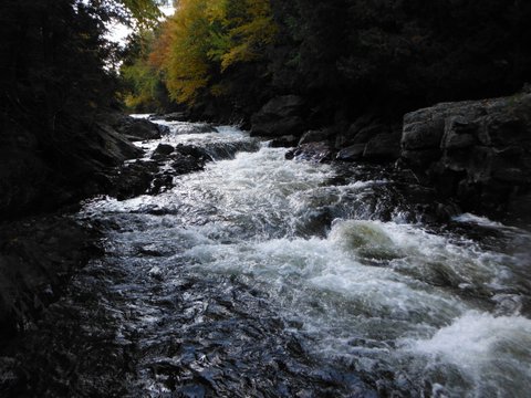 DSCF9821