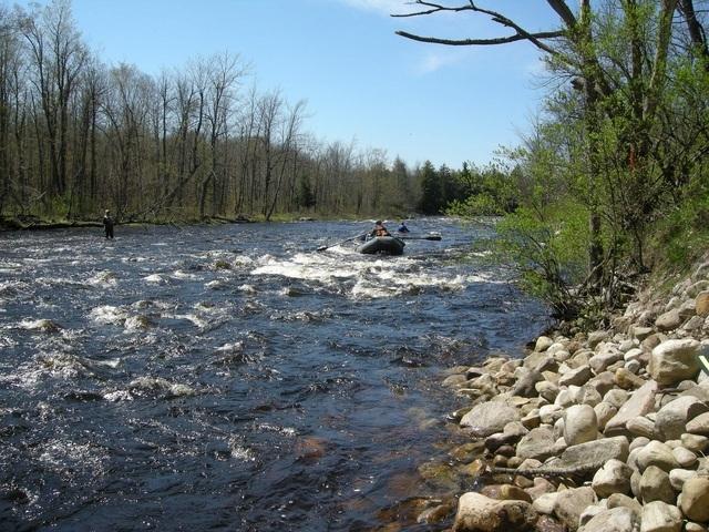 amis à Mill Rd