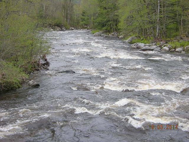 2014-05-19 12.37.29