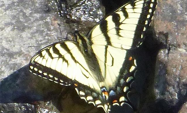 P1000855 (1280x772)
