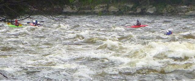 P1000712 (1280x536)