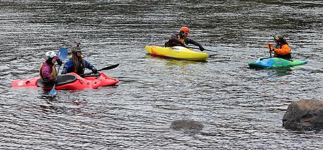 IMG 3713 (1024x476)