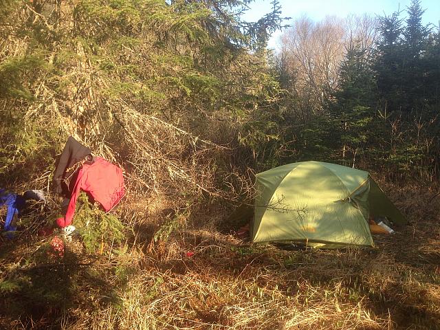 5 camp1