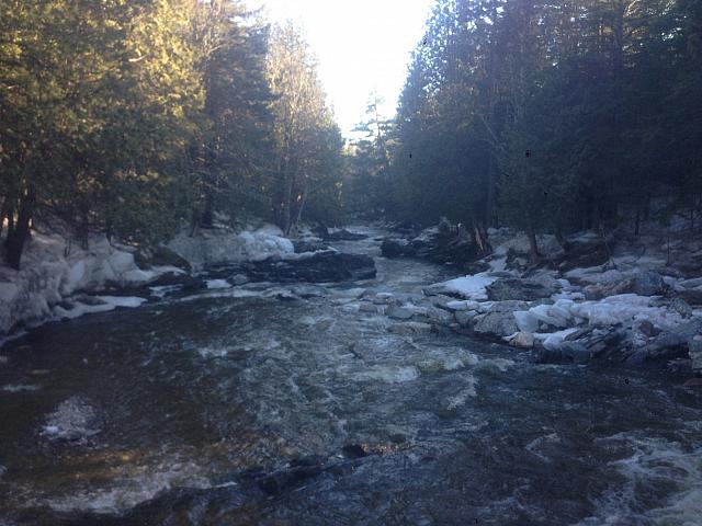 IMG 3712