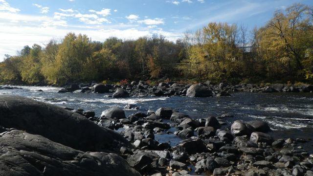 IMGP8167=riv 1024x768