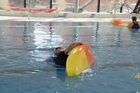 IMG 5038