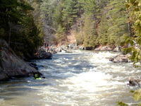 DSCF0520.jpg