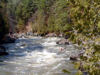 DSCF0521.jpg