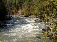 DSCF0522.jpg
