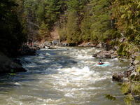 DSCF0524.jpg