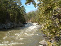 DSCF0526.jpg