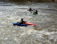 DSCF0528.jpg