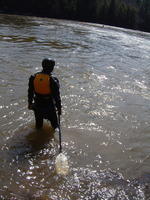 DSCF0529.jpg