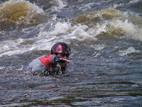 PICT0618.jpg