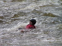 PICT0711.jpg