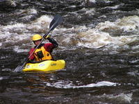 PICT0523.jpg