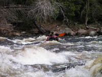 PICT0526.jpg