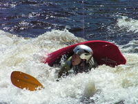 PICT0558.jpg