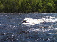 PICT0581.jpg