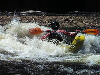 PICT0896.jpg