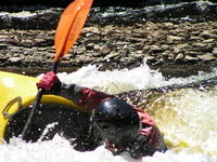 PICT0905.jpg