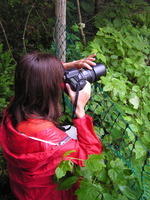 PICT1384.jpg