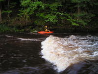 PICT1394.jpg